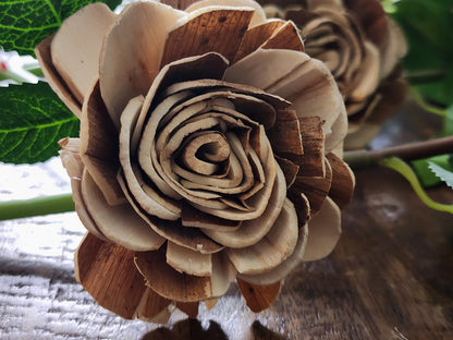 One Dozen Raw Sola Wood Roses on Faux Rose Stems with Realistic Leaves & Soft Touch Thorns, DIY Wedding Flowers, Floral Craft Supply