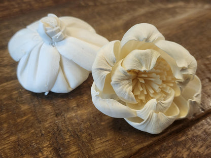 Sola Wood Flowers, 1 Dozen 2" Peony, Ivory Wood Flowers, DIY Wedding Flowers, Bouquet and Centerpiece Supplies, Floral Craft Supply