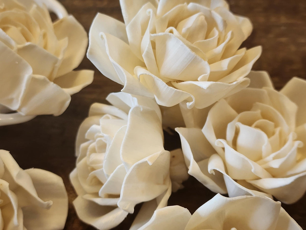 One Dozen 3" Ivory Sola Wood Tea Roses, Handmade Natural Wood Flowers, DIY Wedding Bouquet Flowers, Rustic Floral Decor, Craft Flower Supply