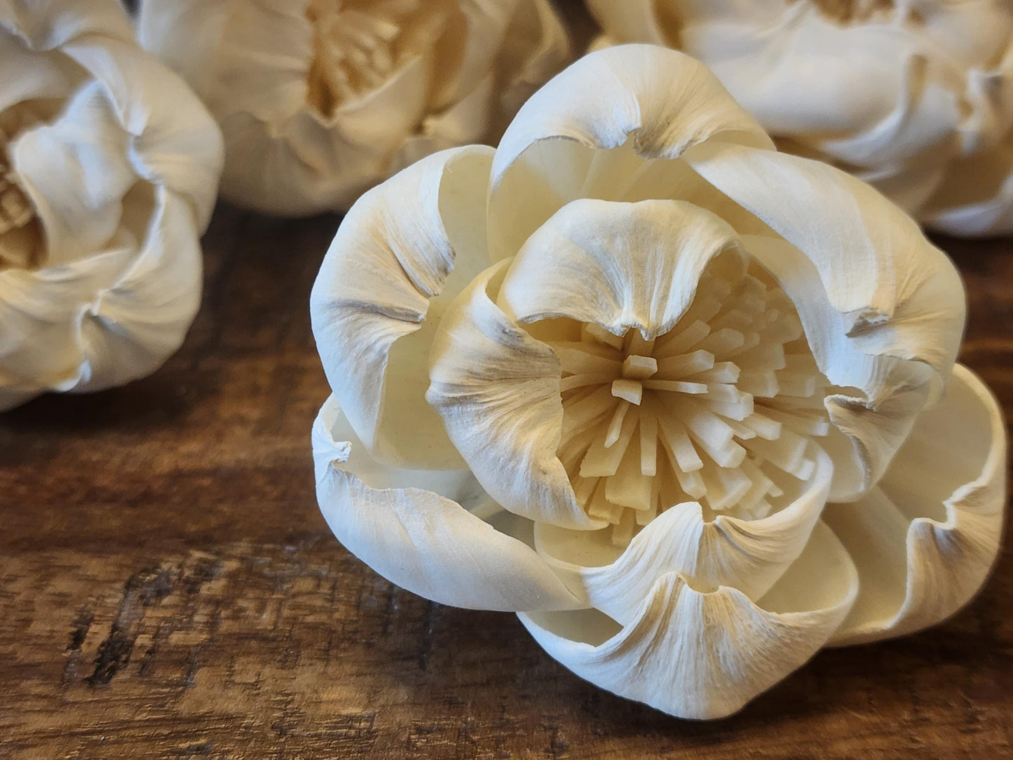 Sola Wood Flowers, 1 Dozen 2" Peony, Ivory Wood Flowers, DIY Wedding Flowers, Bouquet and Centerpiece Supplies, Floral Craft Supply