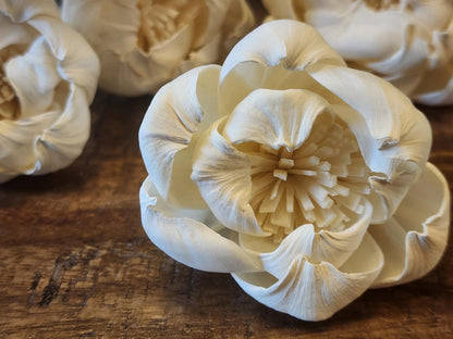 Sola Wood Flowers, 1 Dozen 2" Peony, Ivory Wood Flowers, DIY Wedding Flowers, Bouquet and Centerpiece Supplies, Floral Craft Supply