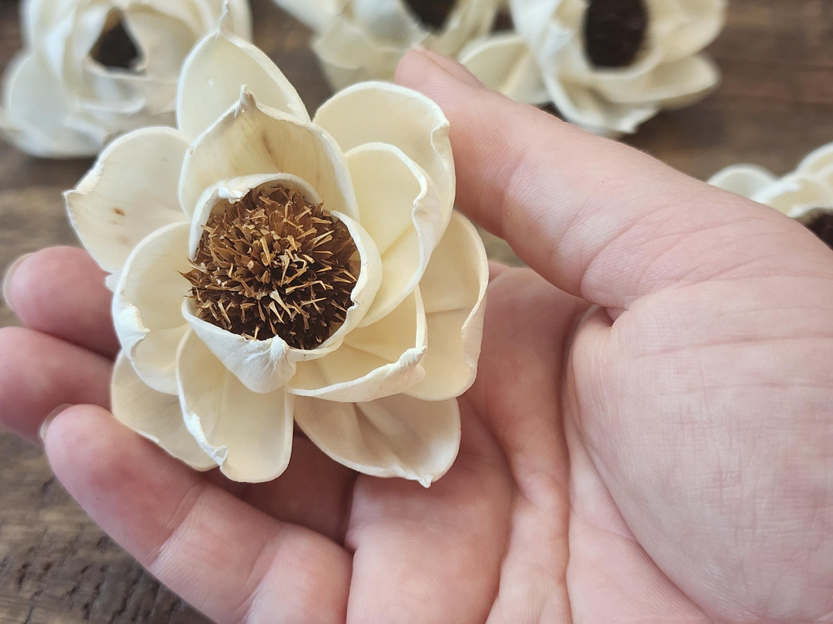 Sola Wood Flowers, One Dozen 2" Thistle Center Peonies, Ivory Wood Flowers, DIY  Wedding Bouquet, Floral Craft Supplies