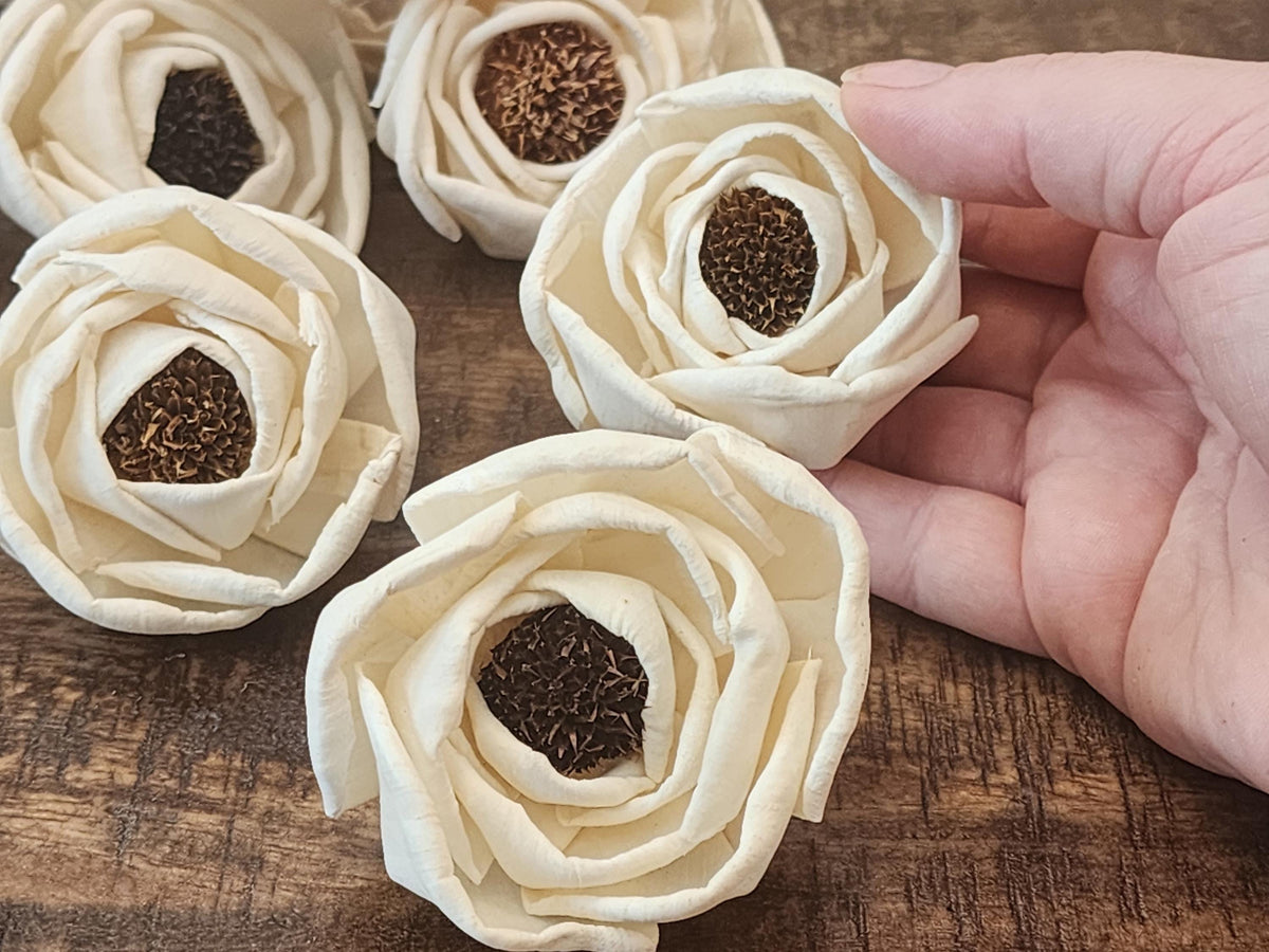 Sola Wood Flowers, 1 Dozen 2.5" Thistle Center Beach Roses, Ivory Wood Flowers, DIY Wedding Flowers, Bouquet Supplies, Floral Craft Supplies