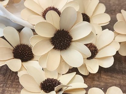Sola Wood Flowers, 1 Dozen 2.5" Cream Daisies, Wood Flowers, DIY Wedding Flowers, Bouquet Supplies, Floral Craft Supplies, DIY Centerpiece