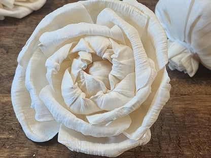 Sola Wood Flowers, 1 Dozen 3" Cabbage Rose, Ivory Wood Flowers, DIY Weddings, Bouquet Supplies, Floral Craft Supplies, DIY Centerpieces