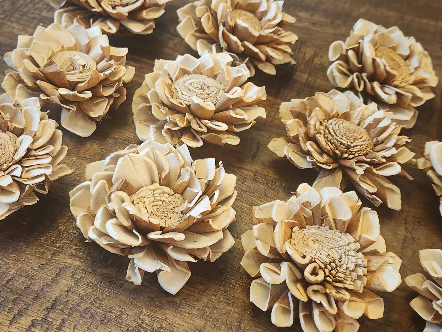 Sola Wood Flowers, 1 Dz Raw Dahlias, Earth Tone Wood Flowers, DIY Wedding Flowers, Bouquet Supplies, Floral Craft Supplies, DIY Centerpiece
