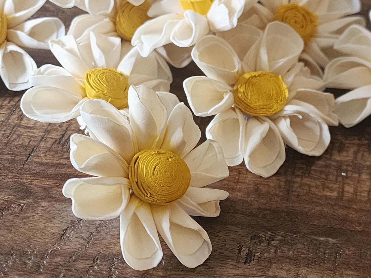 One Dozen 3" Ivory Sola Wood Daisy w/ Hand-Painted Yellow Center, Forever Wooden Flower, DIY Bouquet, Floral Craft Supply, Rustic Home Decor
