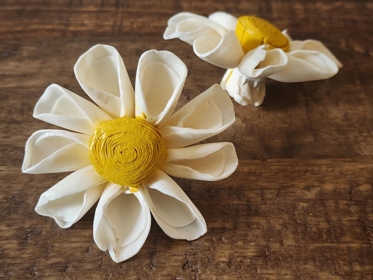 One Dozen 3" Ivory Sola Wood Daisy w/ Hand-Painted Yellow Center, Forever Wooden Flower, DIY Bouquet, Floral Craft Supply, Rustic Home Decor