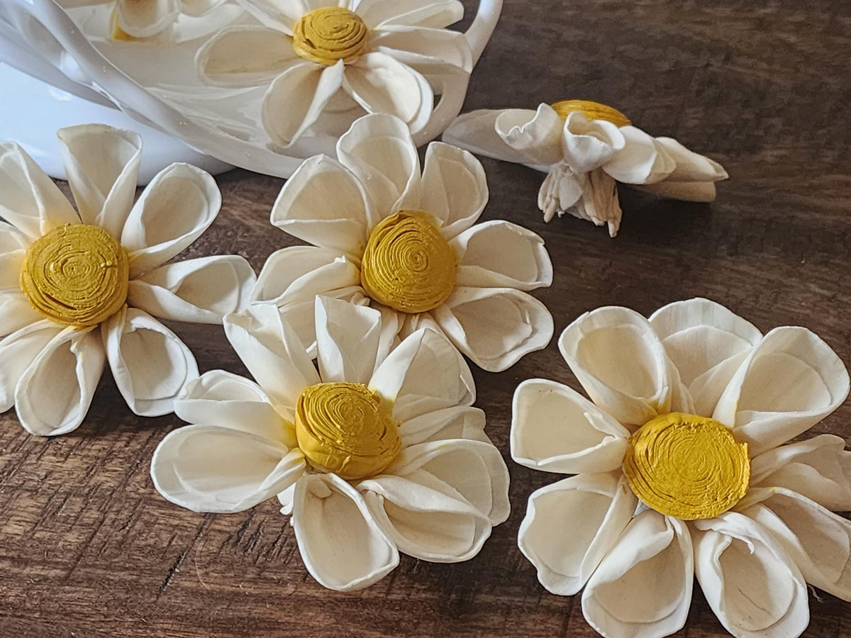 One Dozen 3" Ivory Sola Wood Daisy w/ Hand-Painted Yellow Center, Forever Wooden Flower, DIY Bouquet, Floral Craft Supply, Rustic Home Decor