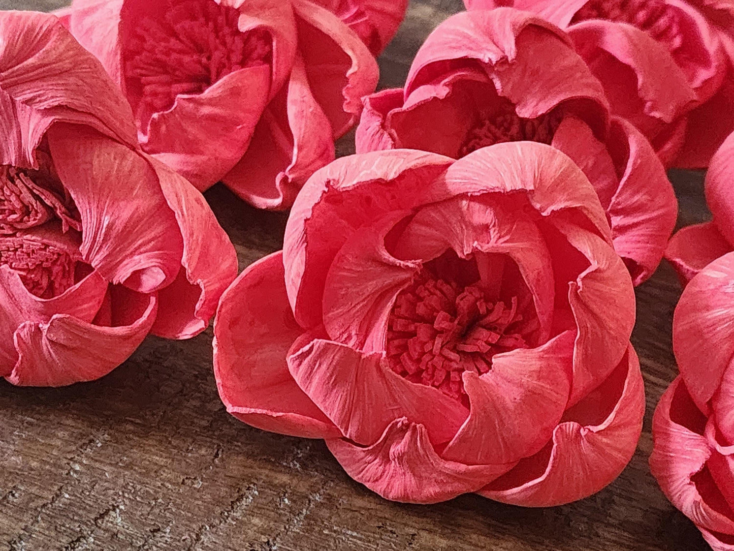 Sola Wood Flowers, 1 Dozen 2" Hand-dyed Coral Wood Flowers, DIY Wedding Flowers, Bouquet and Centerpiece Supplies, Floral Craft Supply