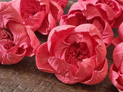 Sola Wood Flowers, 1 Dozen 2" Hand-dyed Coral Wood Flowers, DIY Wedding Flowers, Bouquet and Centerpiece Supplies, Floral Craft Supply