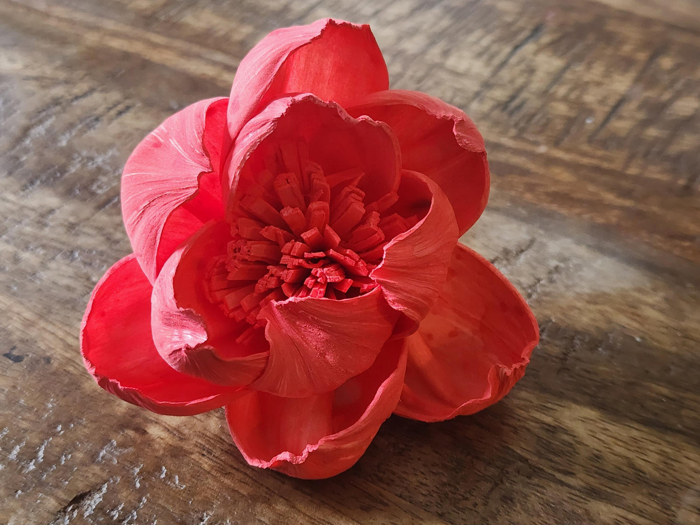 Sola Wood Flowers, 1 Dozen 2" Hand-dyed Coral Wood Flowers, DIY Wedding Flowers, Bouquet and Centerpiece Supplies, Floral Craft Supply