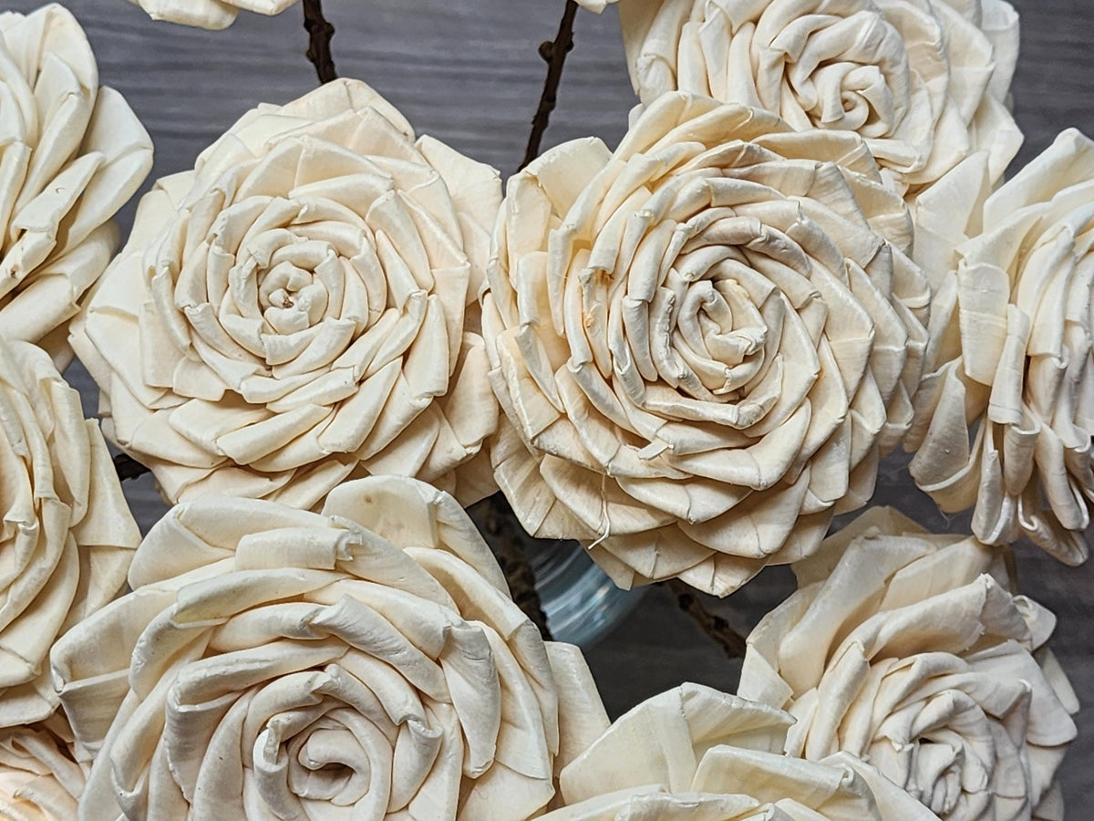One Dozen 3" Sola Wood Ribbon Rose on 10" Wood Stem, Ivory Wooden Flower, DIY Bouquet Flower, Forever Floral Stem, Craft & Home Decor