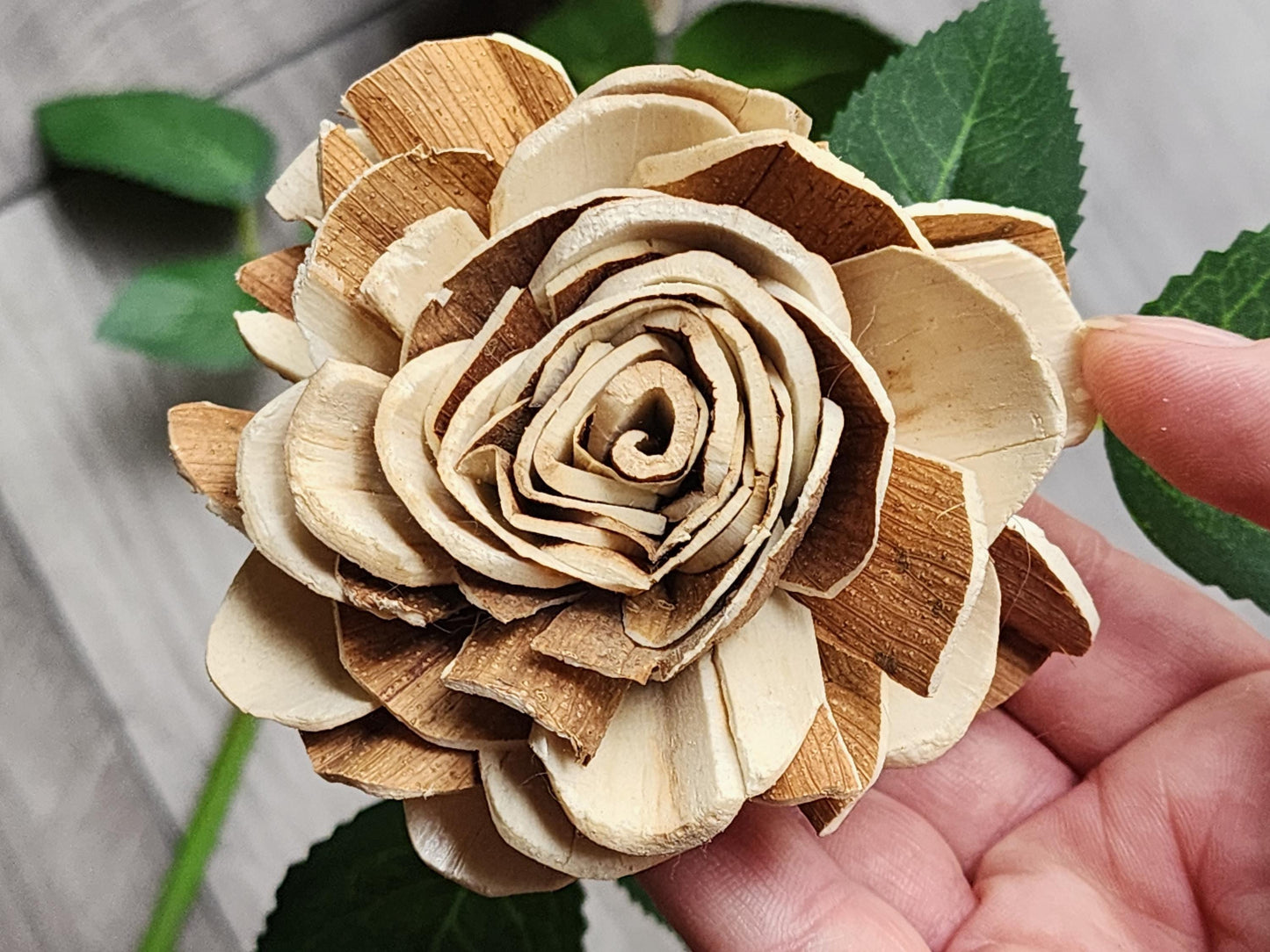 One Dozen Raw Sola Wood Roses on Faux Rose Stems with Realistic Leaves & Soft Touch Thorns, DIY Wedding Flowers, Floral Craft Supply