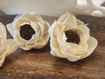 Sola Wood Flowers, One Dozen 2" Thistle Center Peonies, Ivory Wood Flowers, DIY  Wedding Bouquet, Floral Craft Supplies