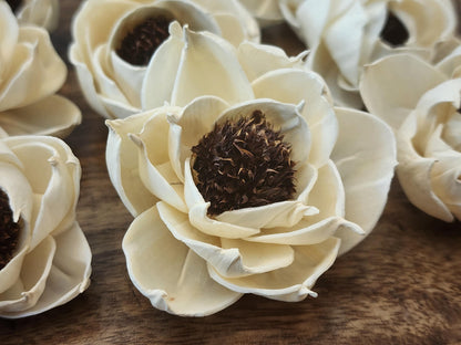 Sola Wood Flowers, One Dozen 2" Thistle Center Peonies, Ivory Wood Flowers, DIY  Wedding Bouquet, Floral Craft Supplies