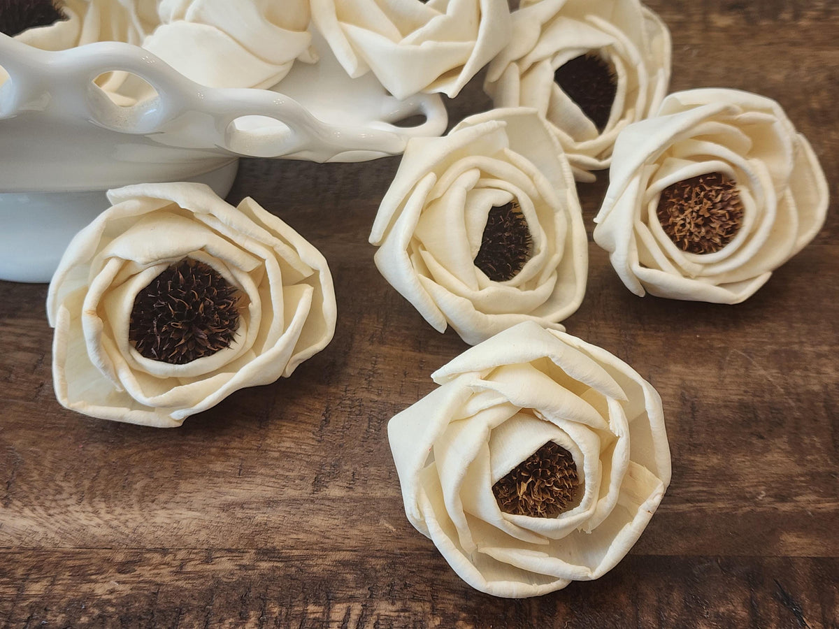 Sola Wood Flowers, 1 Dozen 2.5" Thistle Center Beach Roses, Ivory Wood Flowers, DIY Wedding Flowers, Bouquet Supplies, Floral Craft Supplies