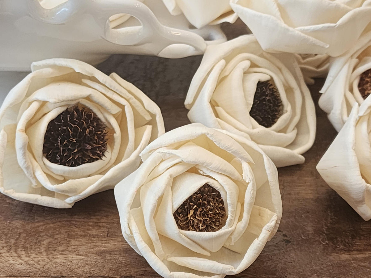 Sola Wood Flowers, 1 Dozen 2.5" Thistle Center Beach Roses, Ivory Wood Flowers, DIY Wedding Flowers, Bouquet Supplies, Floral Craft Supplies