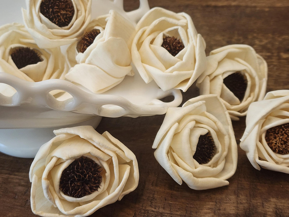 Sola Wood Flowers, 1 Dozen 2.5" Thistle Center Beach Roses, Ivory Wood Flowers, DIY Wedding Flowers, Bouquet Supplies, Floral Craft Supplies