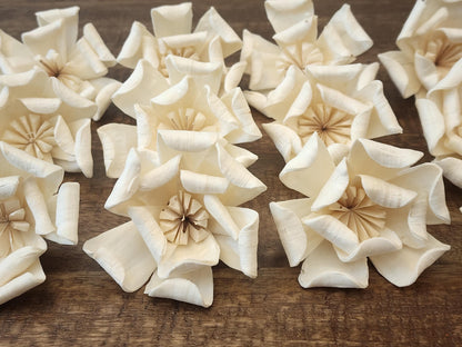 Sola Wood Flowers, One Dozen 3" Magnolias,  Ivory Wood Flowers, DIY  Wedding Bouquet, Floral Craft Supplies