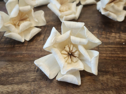 Sola Wood Flowers, One Dozen 3" Magnolias,  Ivory Wood Flowers, DIY  Wedding Bouquet, Floral Craft Supplies