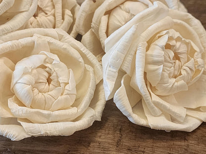 Sola Wood Flowers, 1 Dozen 3" Cabbage Rose, Ivory Wood Flowers, DIY Weddings, Bouquet Supplies, Floral Craft Supplies, DIY Centerpieces