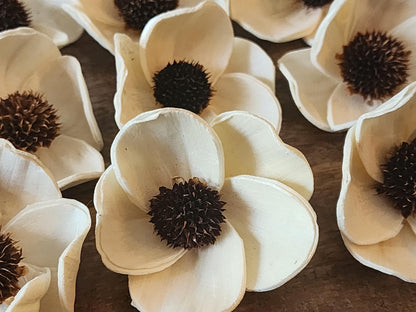 One Dozen 2.5" Sola Wood Dogwood, Handmade Natural Wood Flowers, DIY Wedding Bouquet Flowers, Rustic Floral Decor, Craft Flower Supply