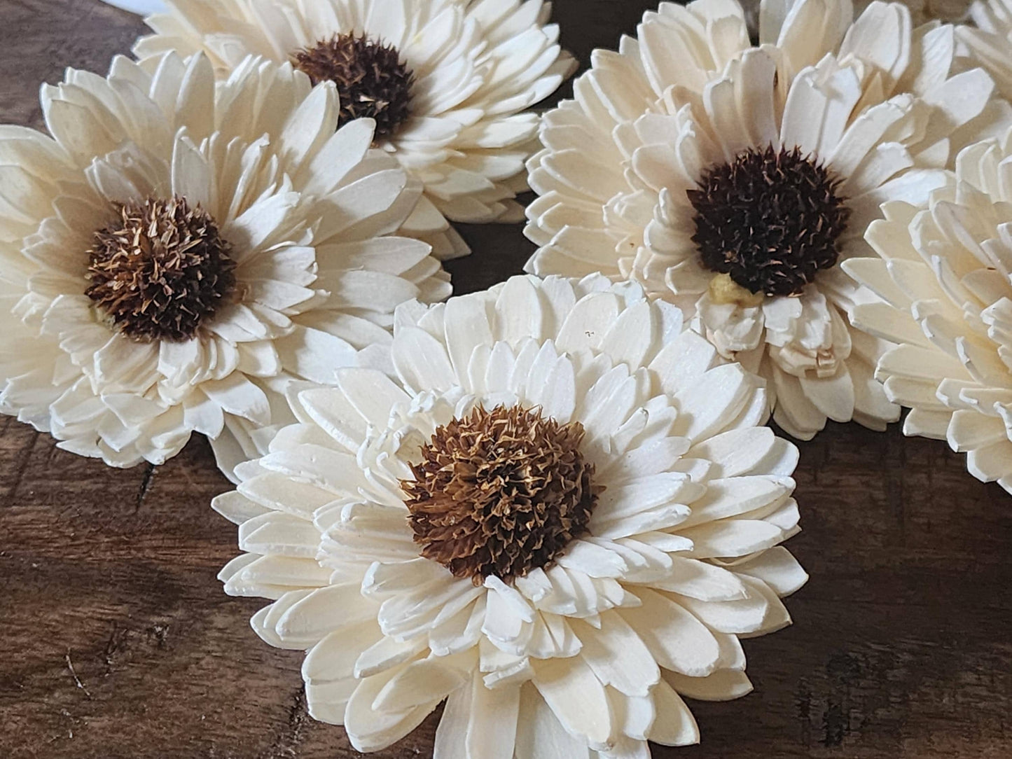 Sola Wood Flowers, 1 Dozen 3" Sunflower, Ivory Wood Flowers, DIY Wedding Flowers, Bouquet Supplies, Floral Craft Supplies