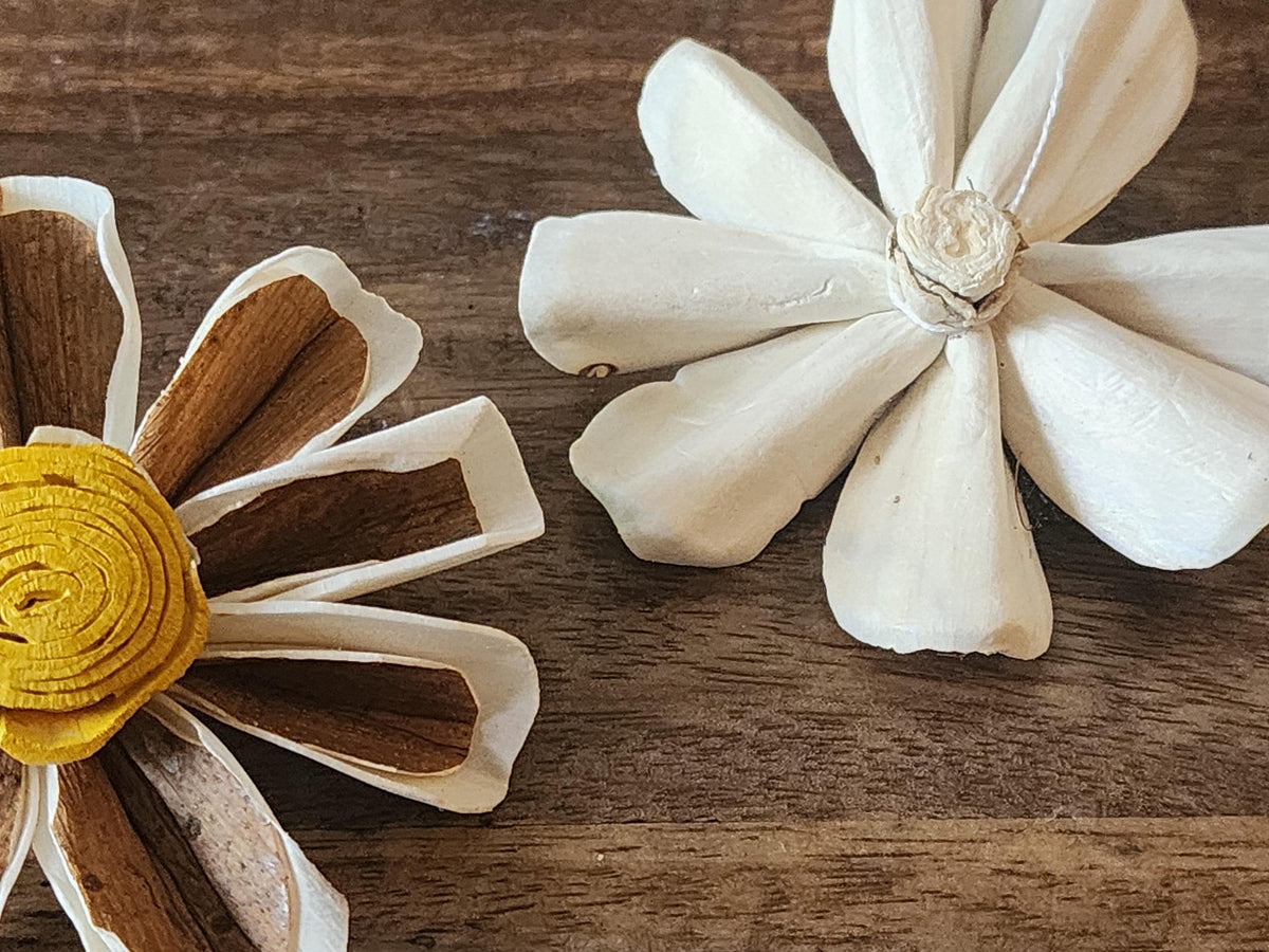 One Dozen 3" Skin Sola Wood Daisy w/ Hand-Painted Yellow Center, Forever Wooden Flower, DIY Bouquet, Floral Craft Supply, Rustic Home Decor