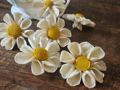 One Dozen 3" Ivory Sola Wood Daisy w/ Hand-Painted Yellow Center, Forever Wooden Flower, DIY Bouquet, Floral Craft Supply, Rustic Home Decor