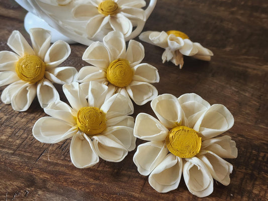 One Dozen 3" Ivory Sola Wood Daisy w/ Hand-Painted Yellow Center, Forever Wooden Flower, DIY Bouquet, Floral Craft Supply, Rustic Home Decor