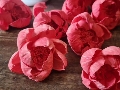 Sola Wood Flowers, 1 Dozen 2" Hand-dyed Coral Wood Flowers, DIY Wedding Flowers, Bouquet and Centerpiece Supplies, Floral Craft Supply